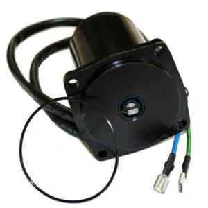 40 hp 50 hp Johnson Outboard Power Trim Motor 4 stroke 1999-2006 5034361