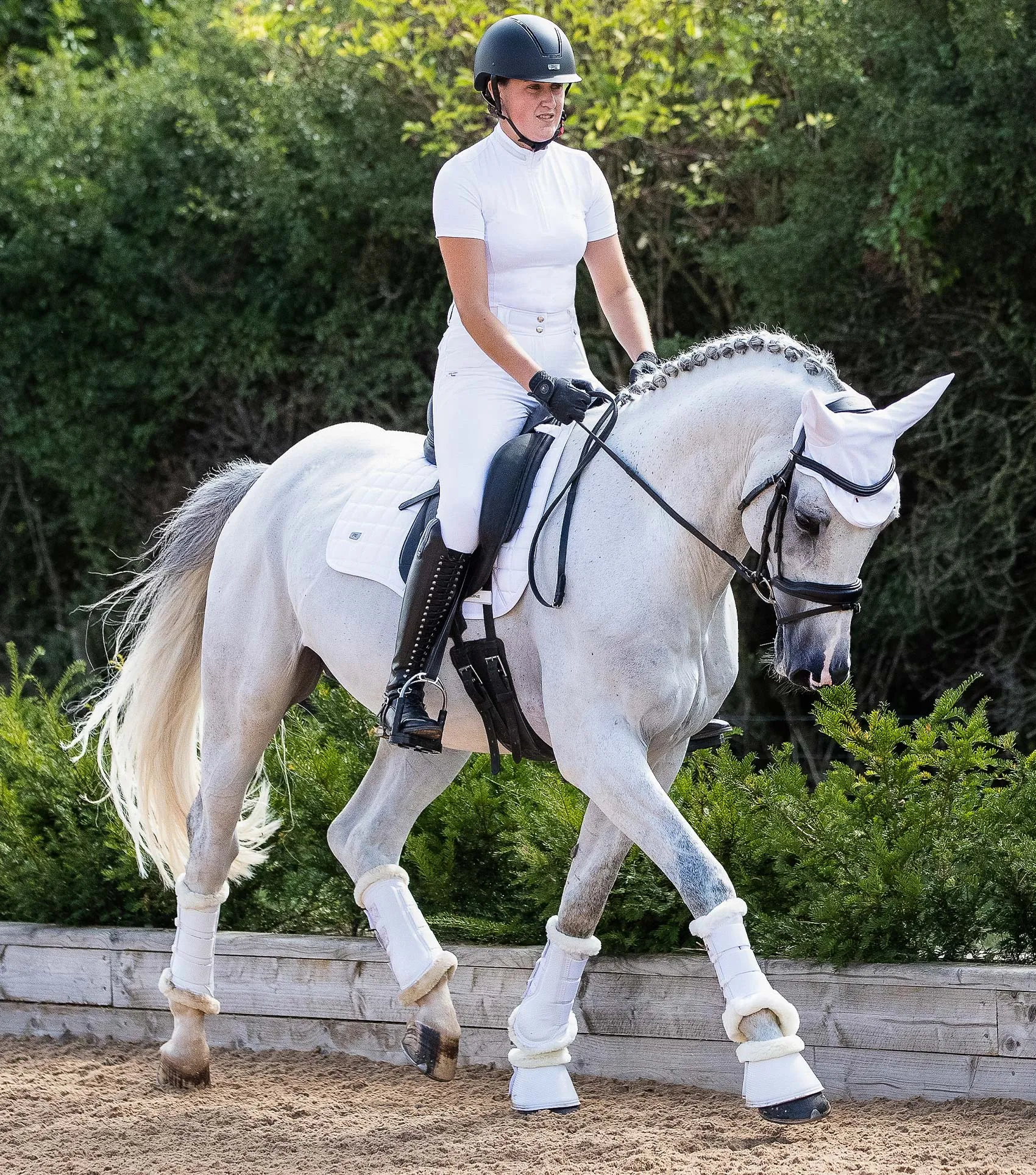 Alberta CC Satin Dressage Square White