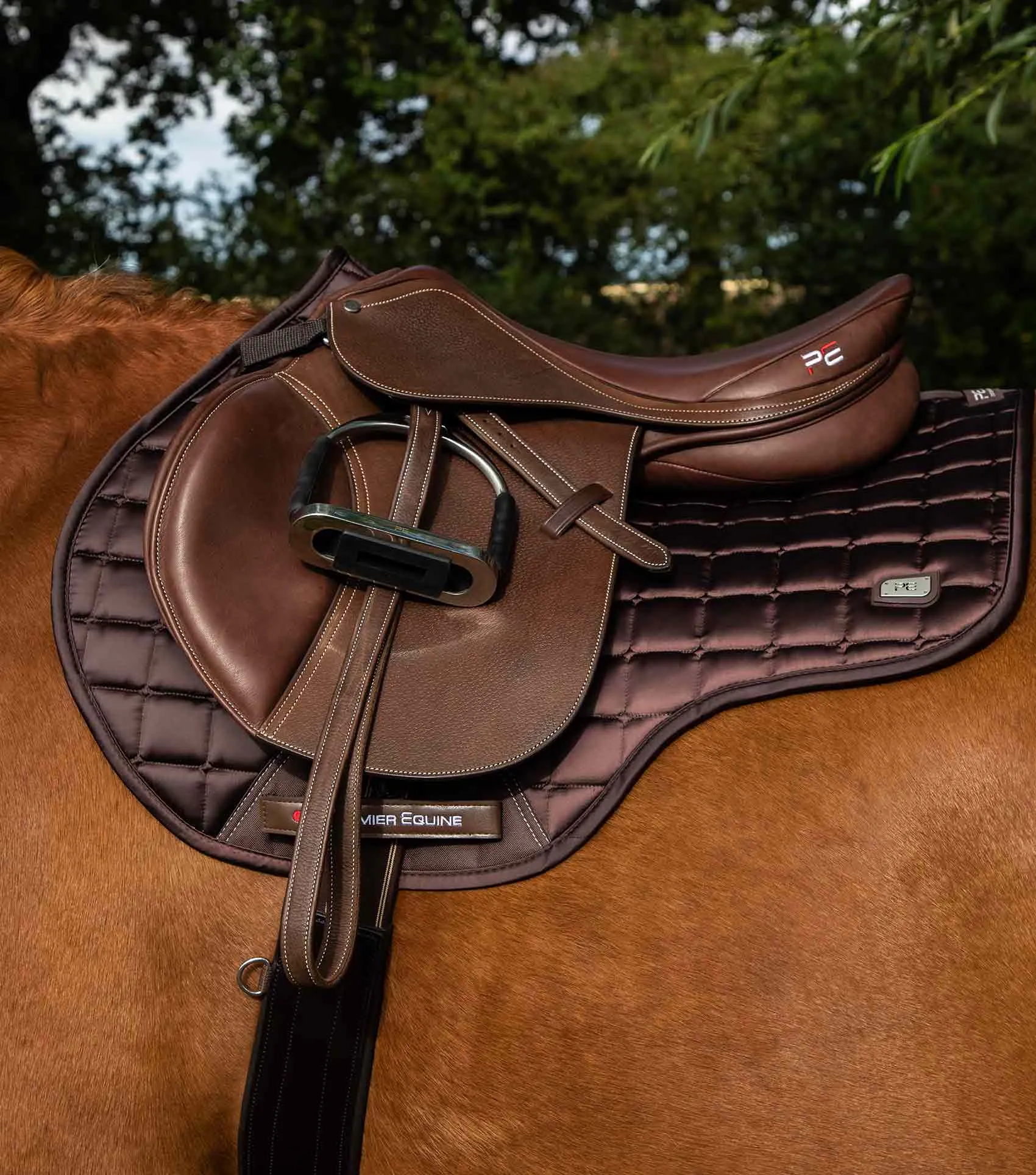 Alberta CC Satin GP/Jump Square Brown