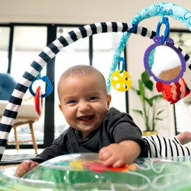 Baby Einstein Sea Floor Explorers 2 in 1 Water Mat Play Gym