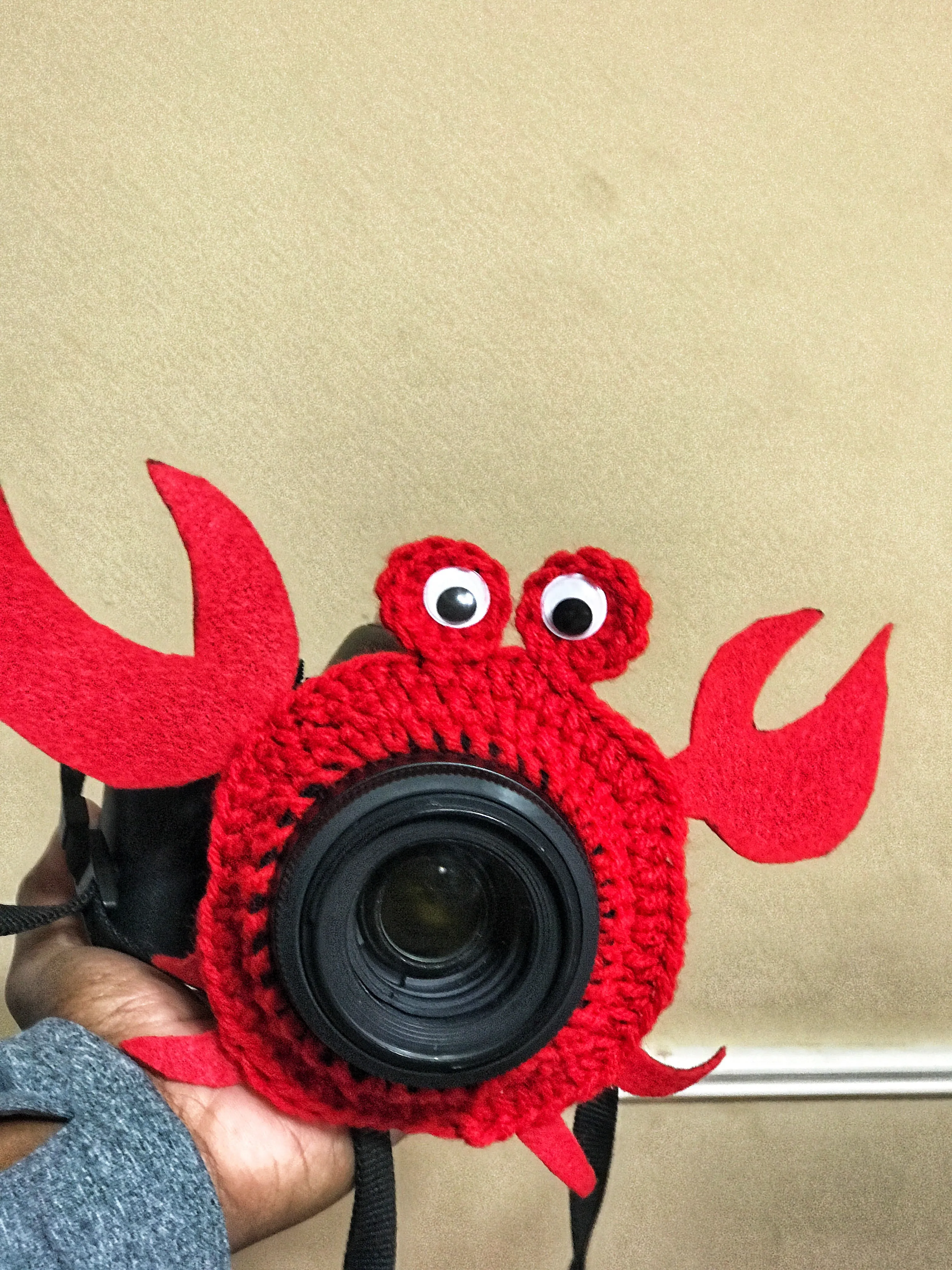 Camera Lens Buddies