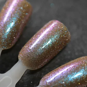 Dam Nail Polish - Halloween Quad - Field of Screams