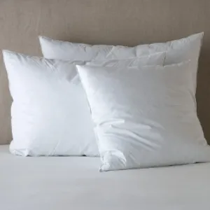 Essential Down Sham Insert - Euro
