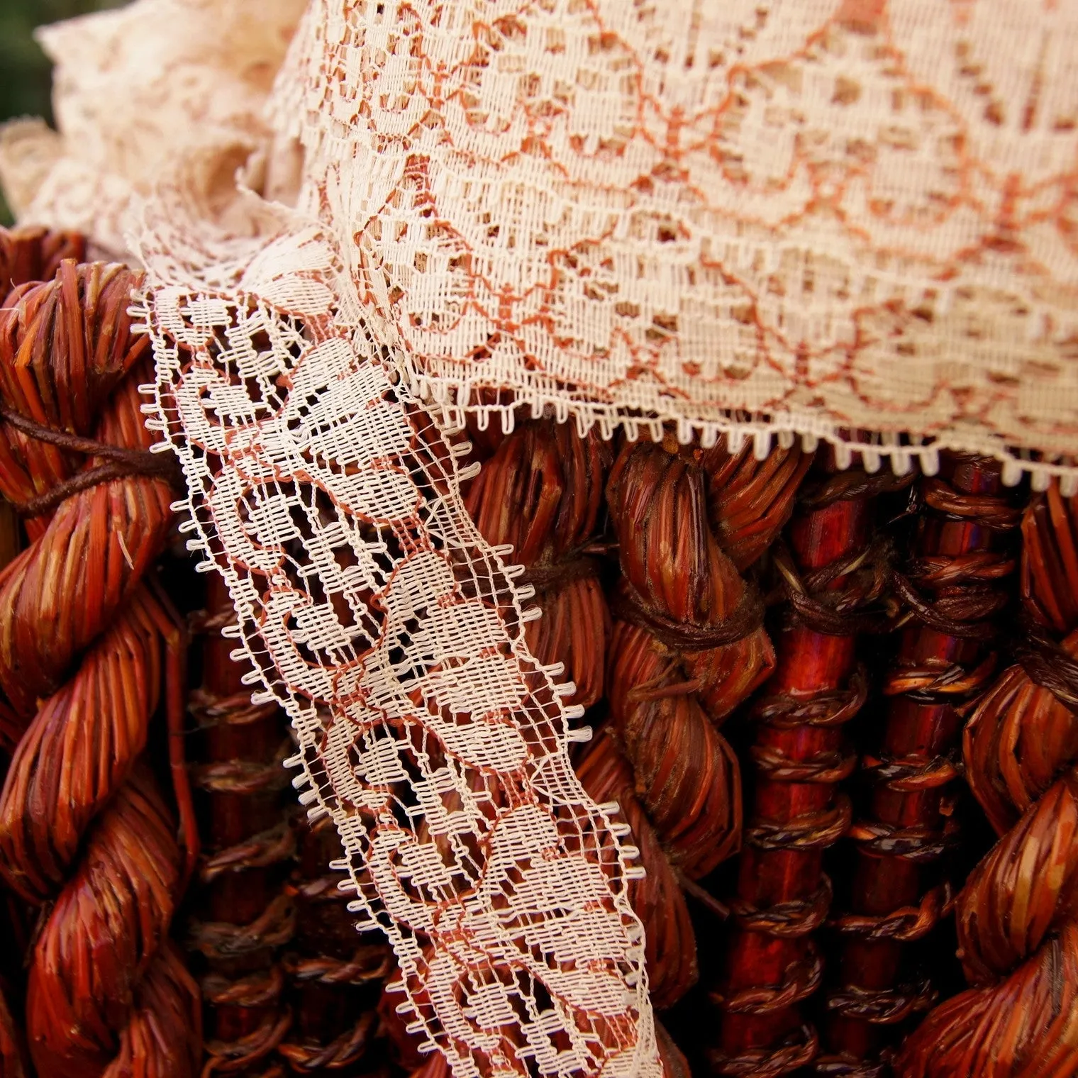 Fancy Floral Peach Burgundy Embroidery Lace Trim 1⅜" wide
