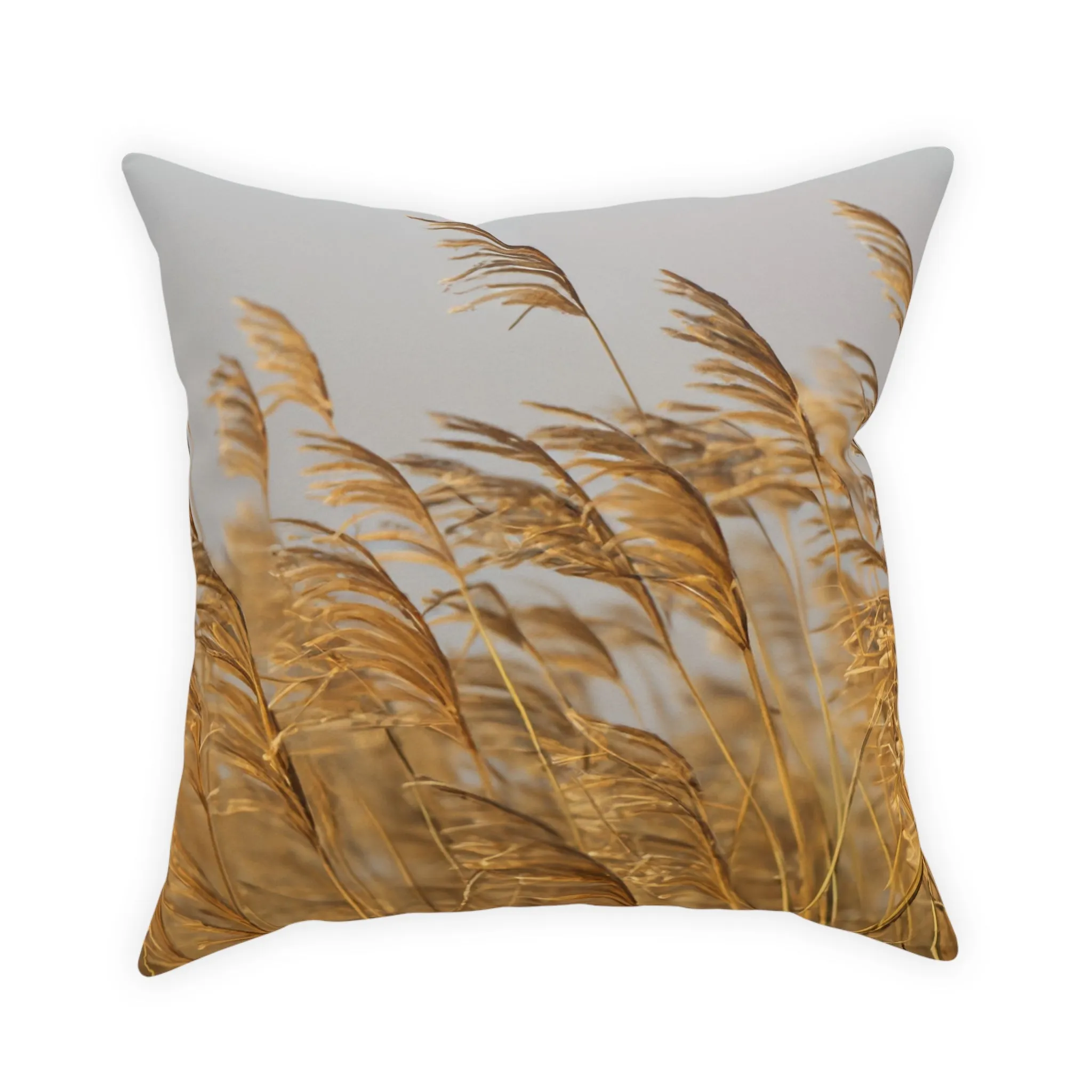 Golden Grass Broadcloth Pillow