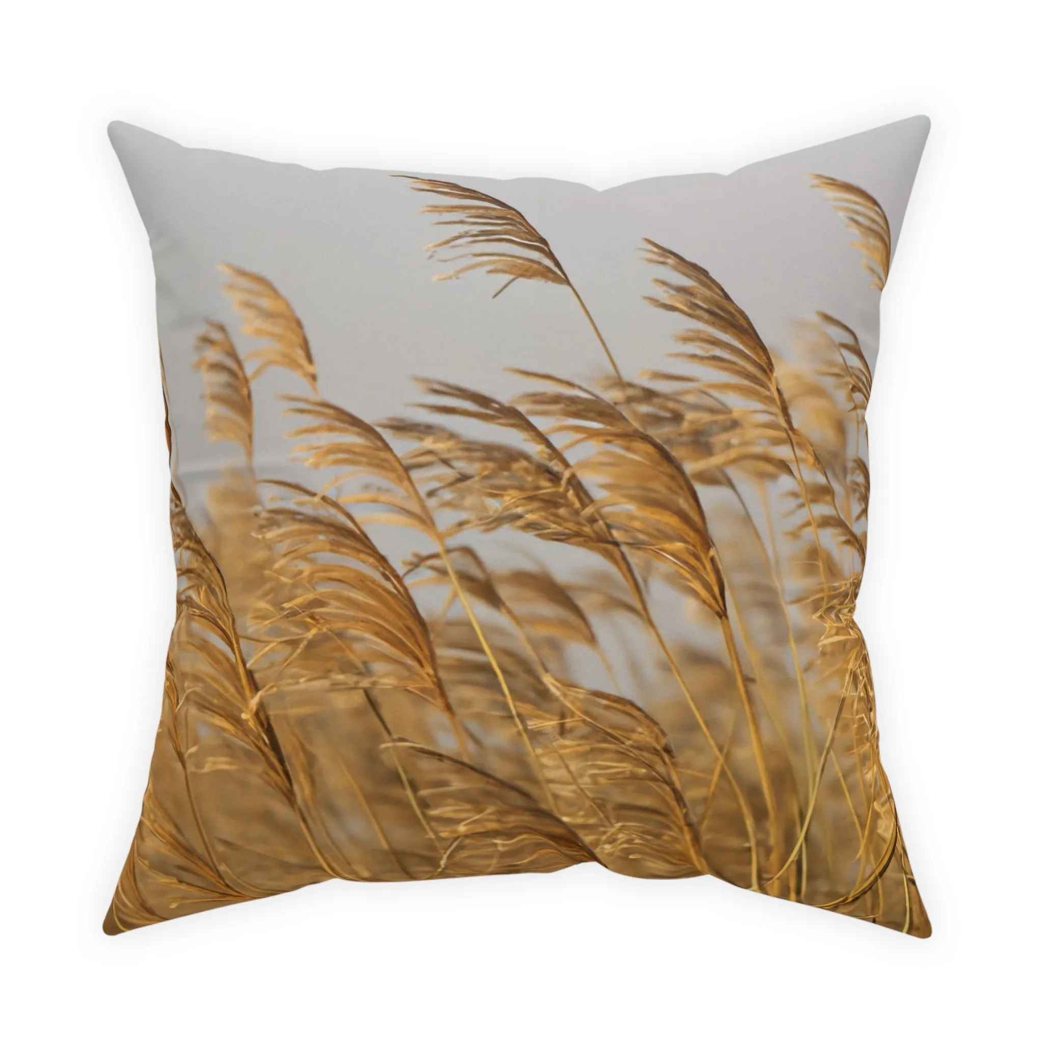 Golden Grass Broadcloth Pillow