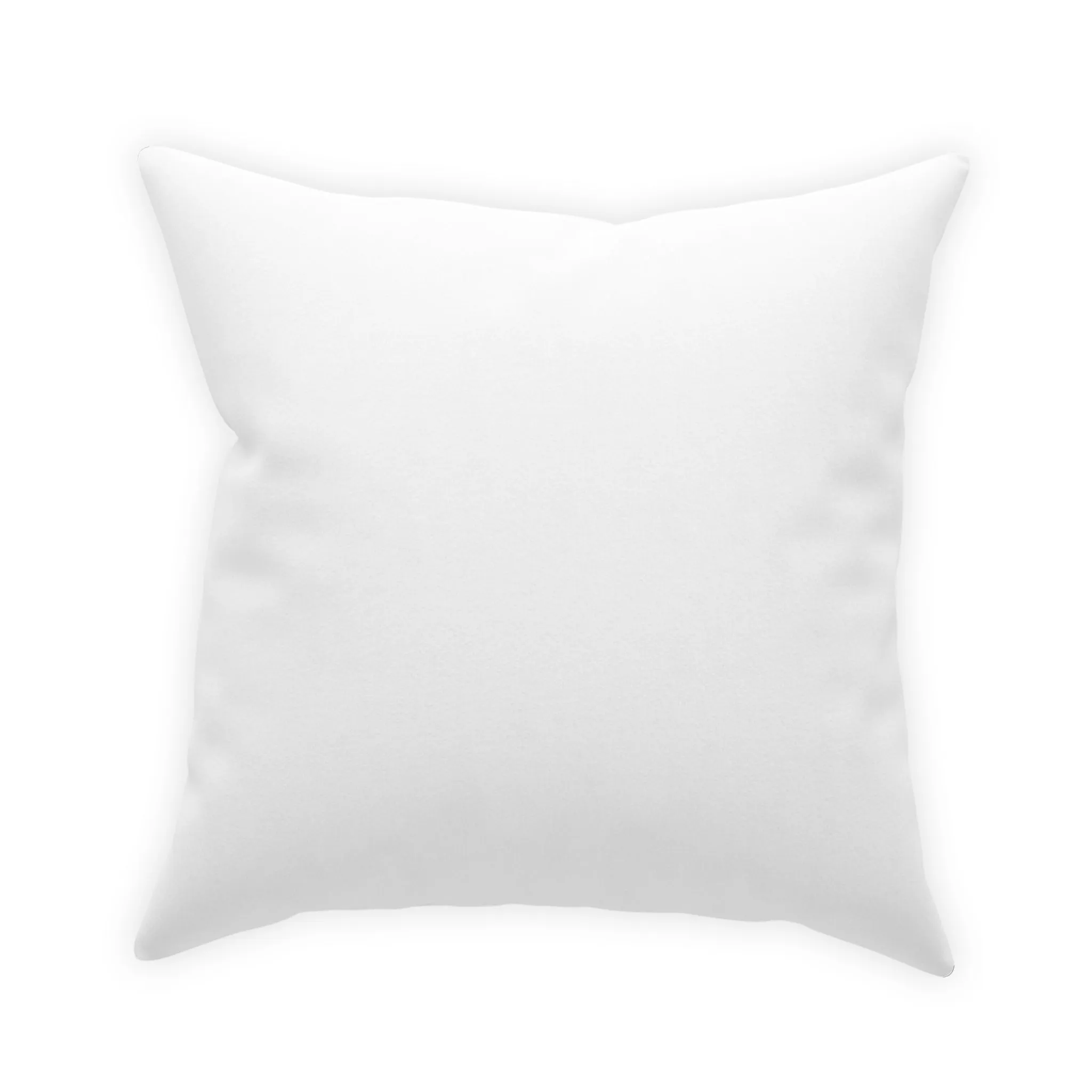 Golden Grass Broadcloth Pillow
