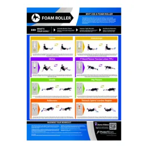 Gym Chart Foam Roller