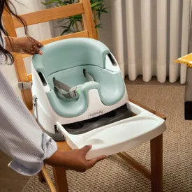 Ingenuity Base 2 in 1 Seat Mist