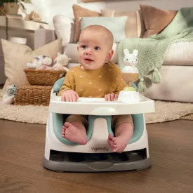 Ingenuity Base 2 in 1 Seat Mist