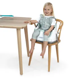 Ingenuity Base 2 in 1 Seat Mist