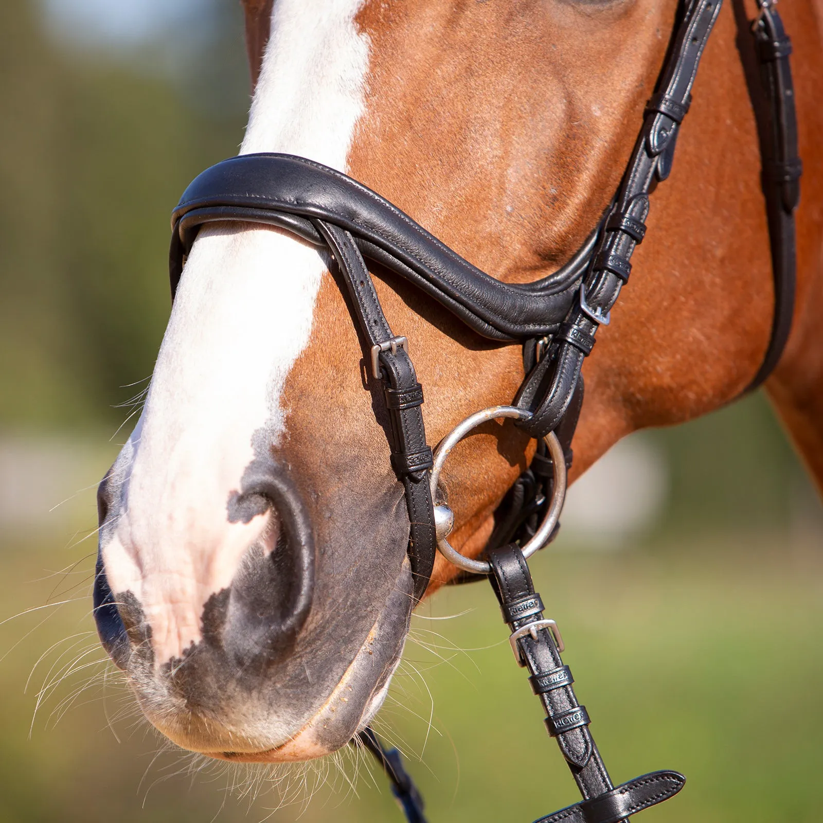 Kieffer Ultrasoft® Amy Snaffle Bridle