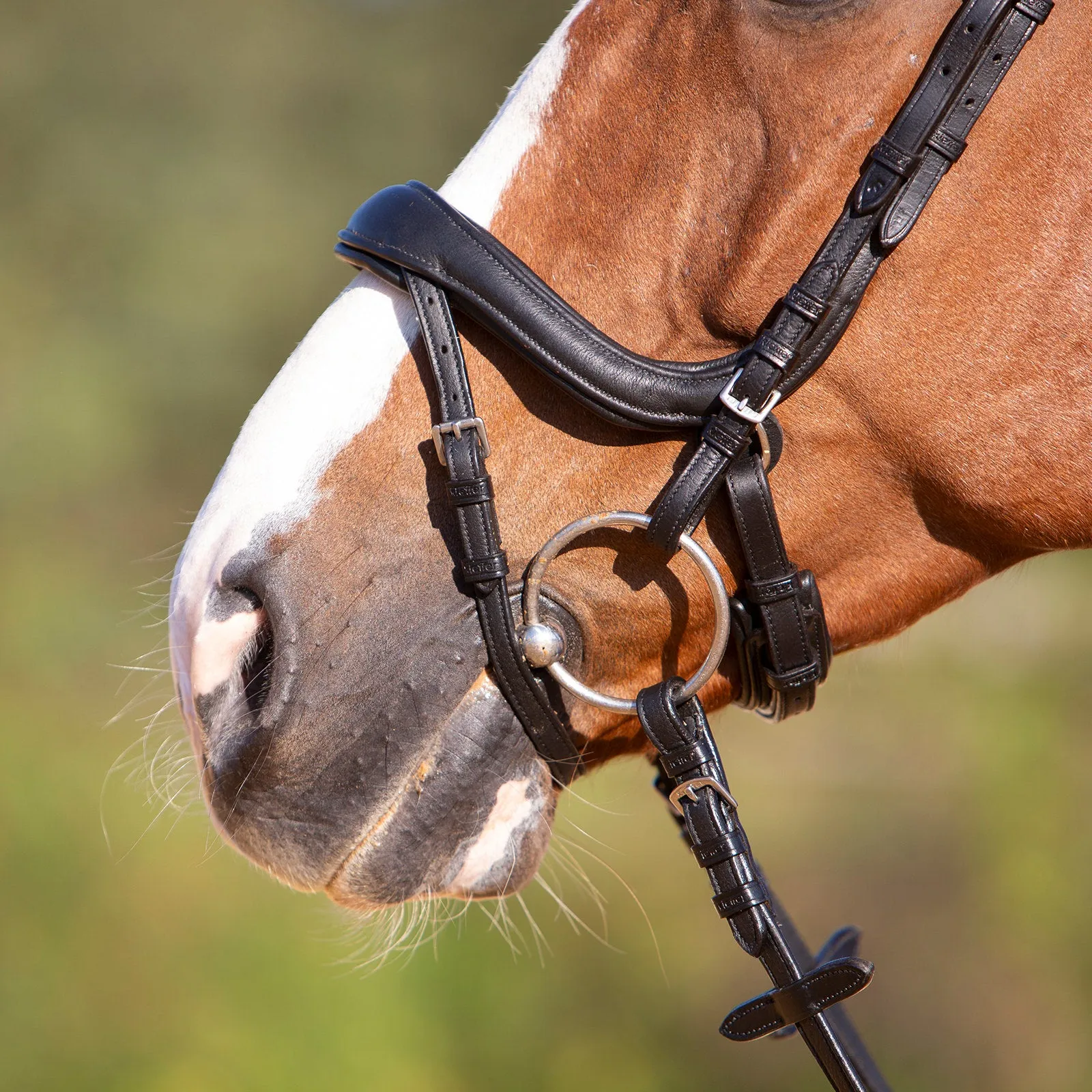 Kieffer Ultrasoft® Amy Snaffle Bridle