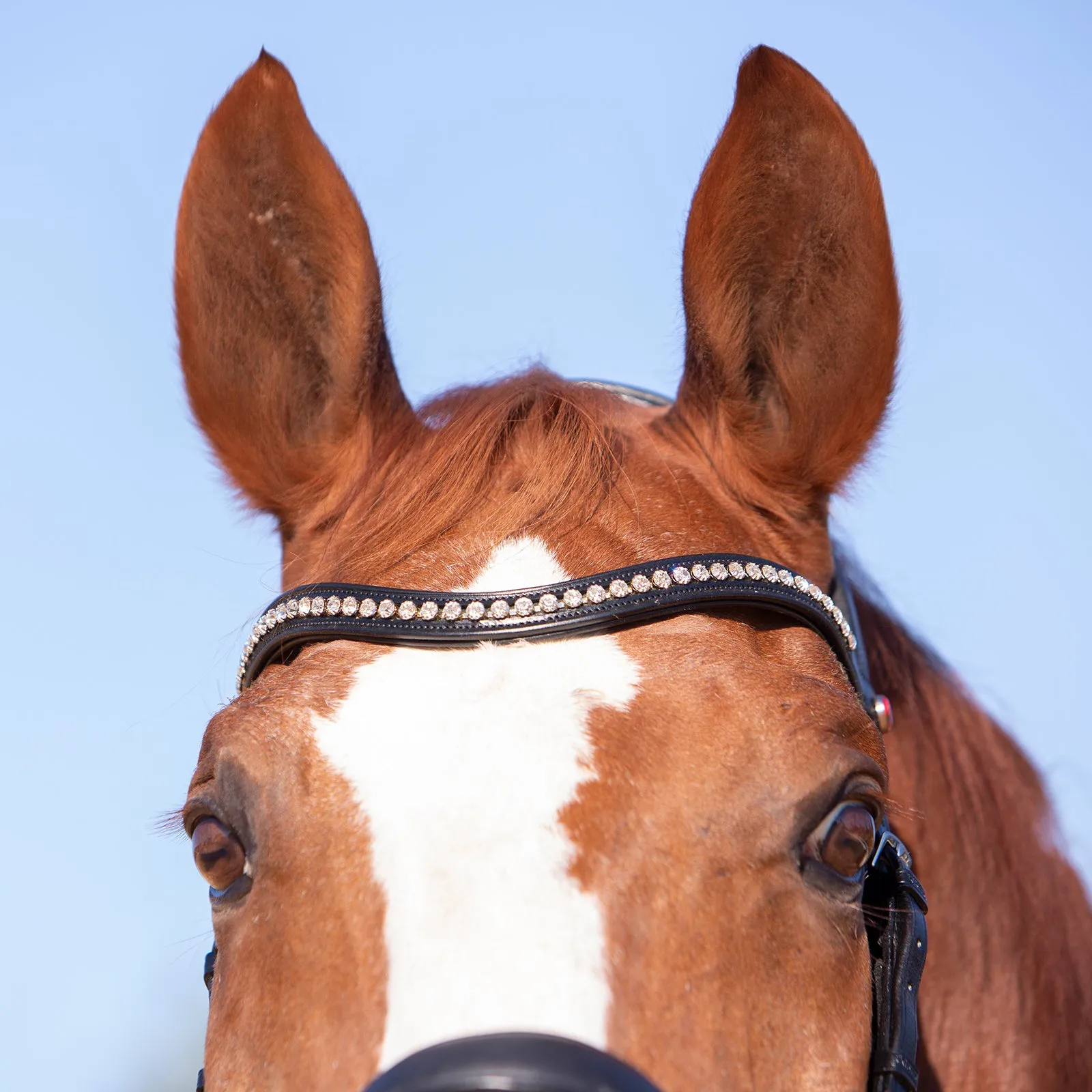 Kieffer Ultrasoft® Amy Snaffle Bridle