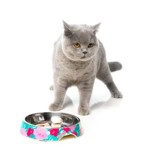 Lahaina Cat Feeding Bowl