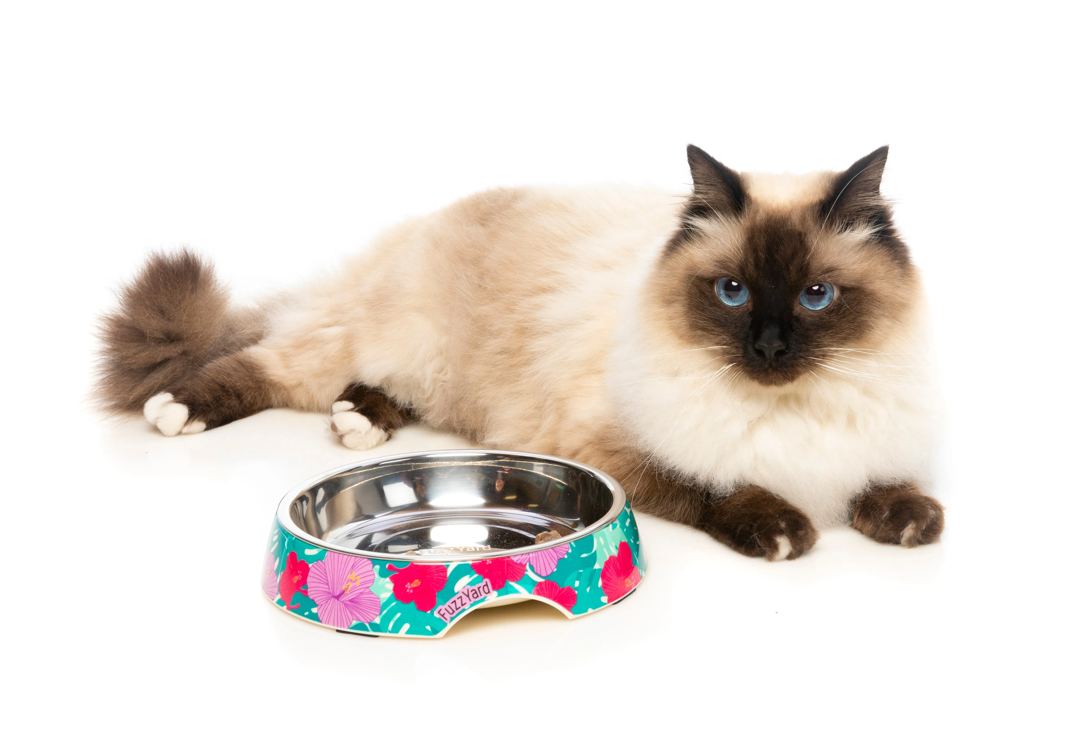 Lahaina Cat Feeding Bowl