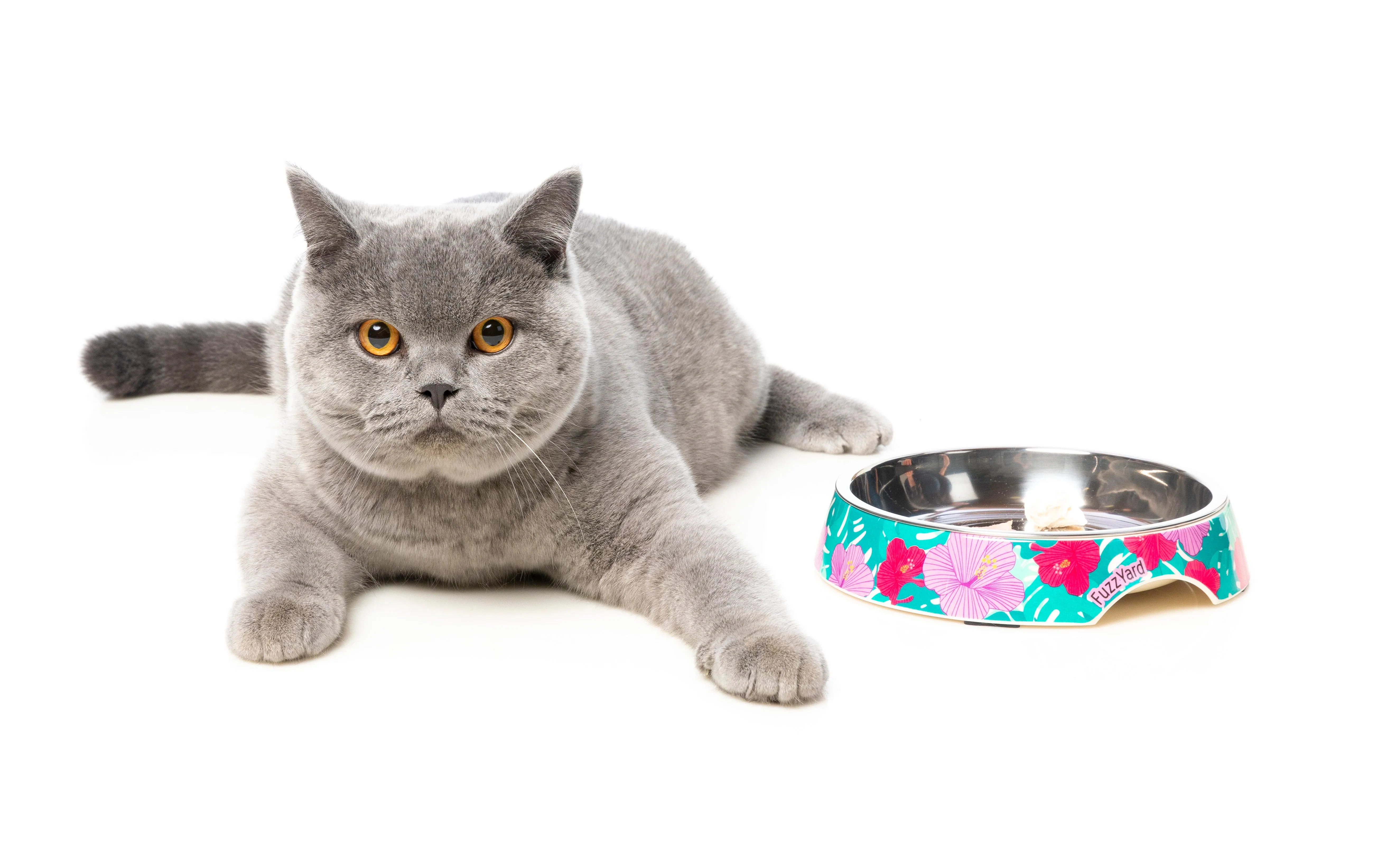 Lahaina Cat Feeding Bowl