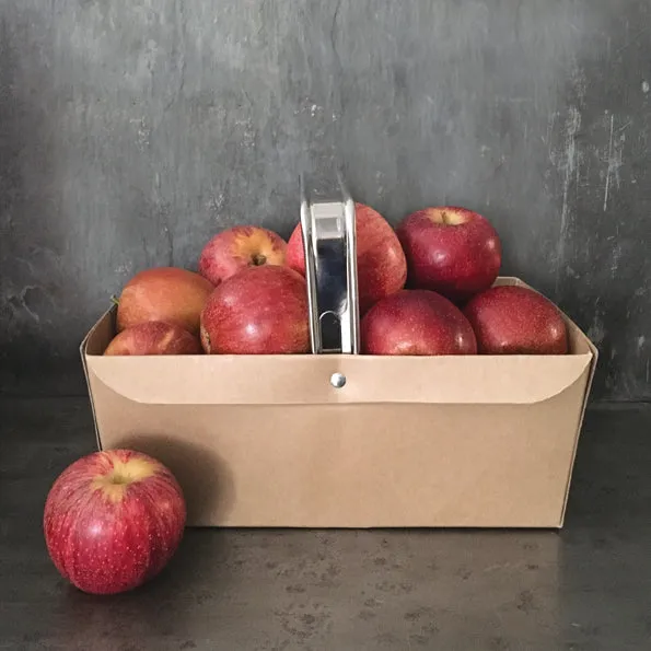 Large Kraft Punnet ~ East of India