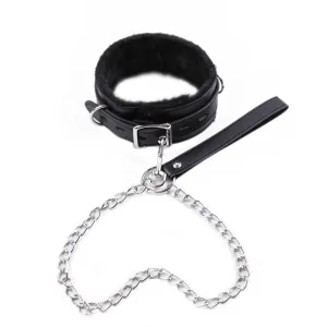 Lockable Collar & Leash