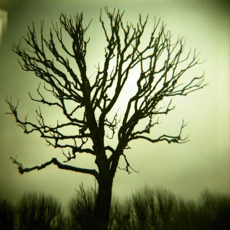 Lomography Diana F  120 Film Camera
