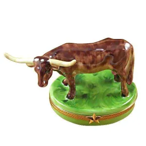 Longhorn Bull with Removable Insert
