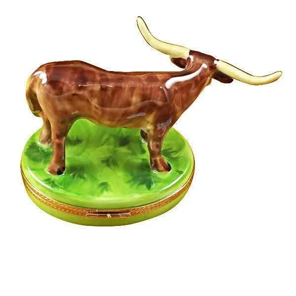 Longhorn Bull with Removable Insert