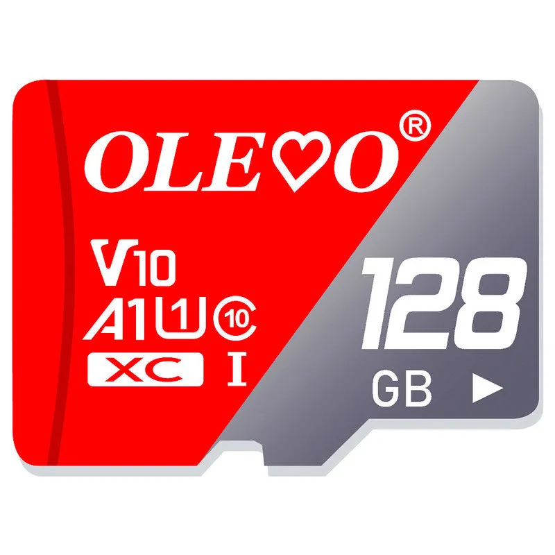 Memory Card Mini SD