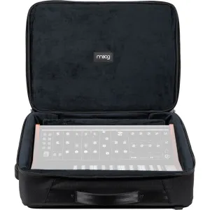 Moog Subsequent 25 SR Case