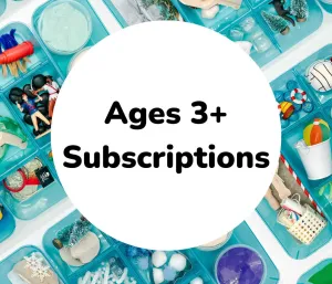 Original Bumblebee Bin Subscription 3 