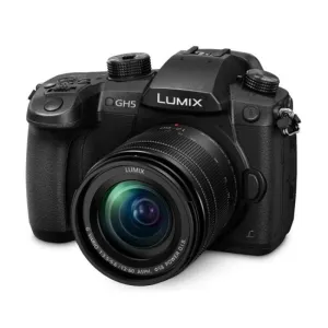 Panasonic GH5 kit 12-60mm f2.8-4.0 Leica Vario-Elmarit