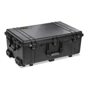 Pelican™ Protector Case, 17.52 in x 10.62 in x 28.57 in, 1650-020-110