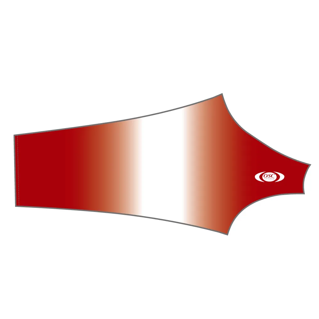 PERFORMANCE  Jersey Long Sleeve