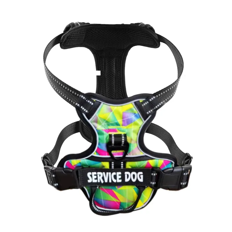 Personalized Reflective Dog Harness