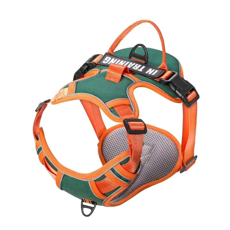 Personalized Reflective Dog Harness