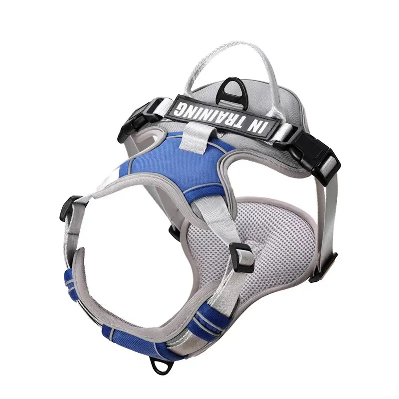 Personalized Reflective Dog Harness