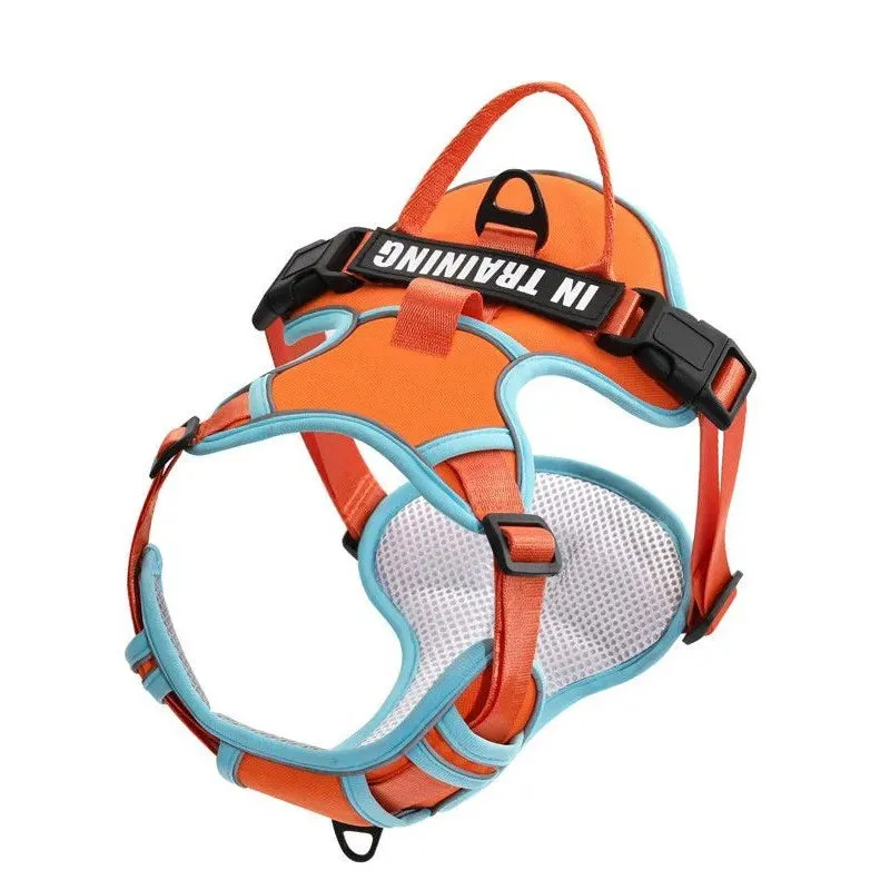Personalized Reflective Dog Harness