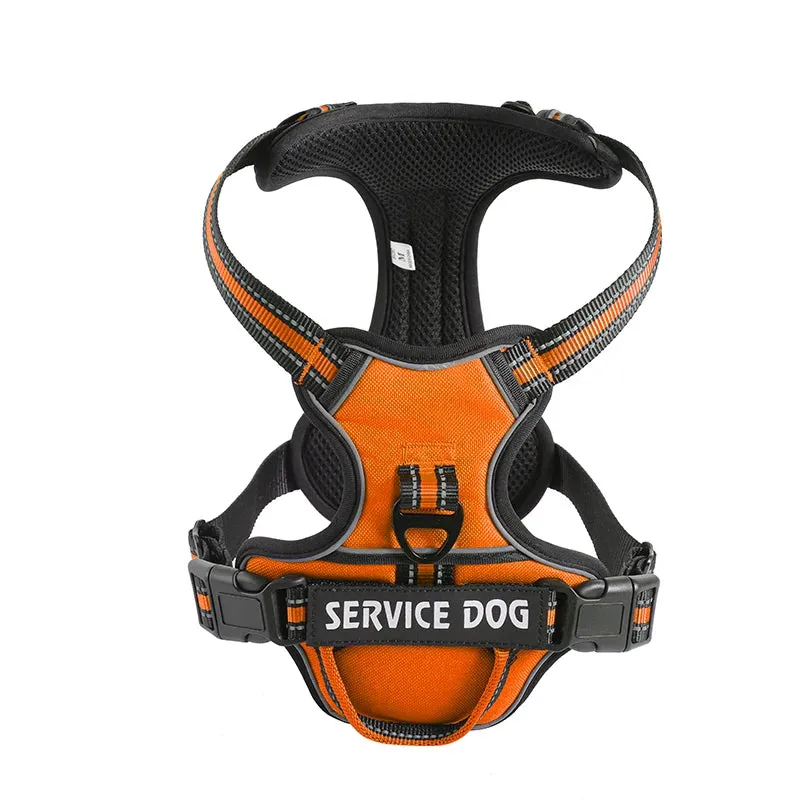 Personalized Reflective Dog Harness