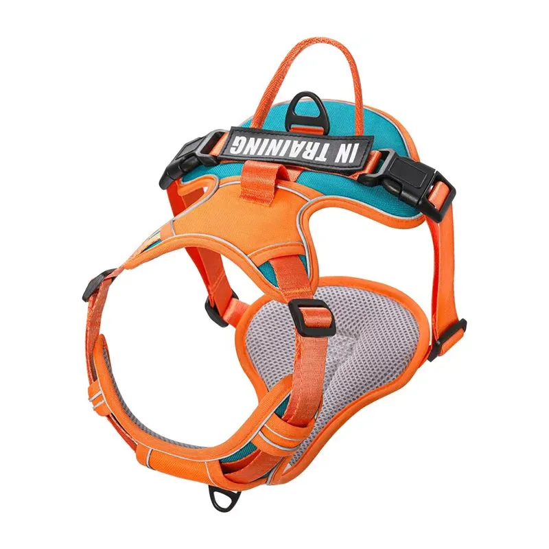 Personalized Reflective Dog Harness