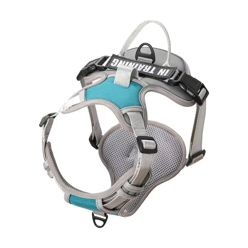 Personalized Reflective Dog Harness