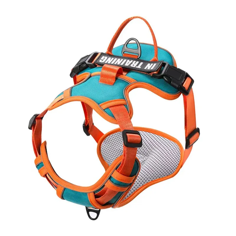 Personalized Reflective Dog Harness
