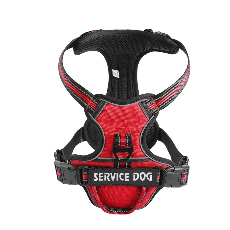 Personalized Reflective Dog Harness