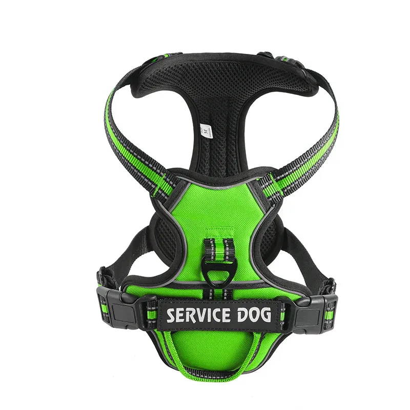 Personalized Reflective Dog Harness