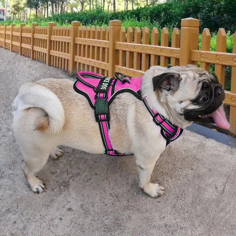 Personalized Reflective Dog Harness