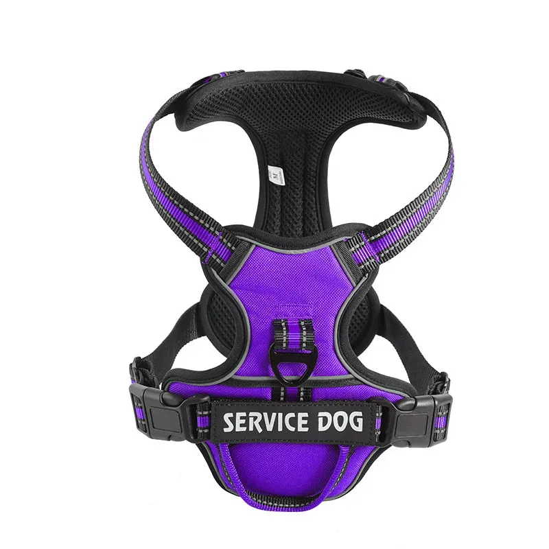 Personalized Reflective Dog Harness