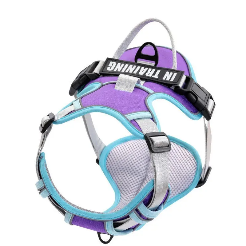 Personalized Reflective Dog Harness