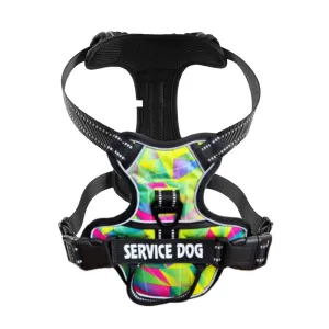 Personalized Reflective Dog Harness