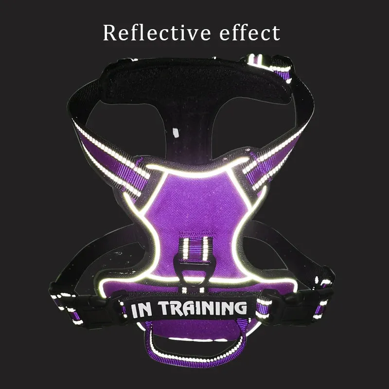 Personalized Reflective Dog Harness