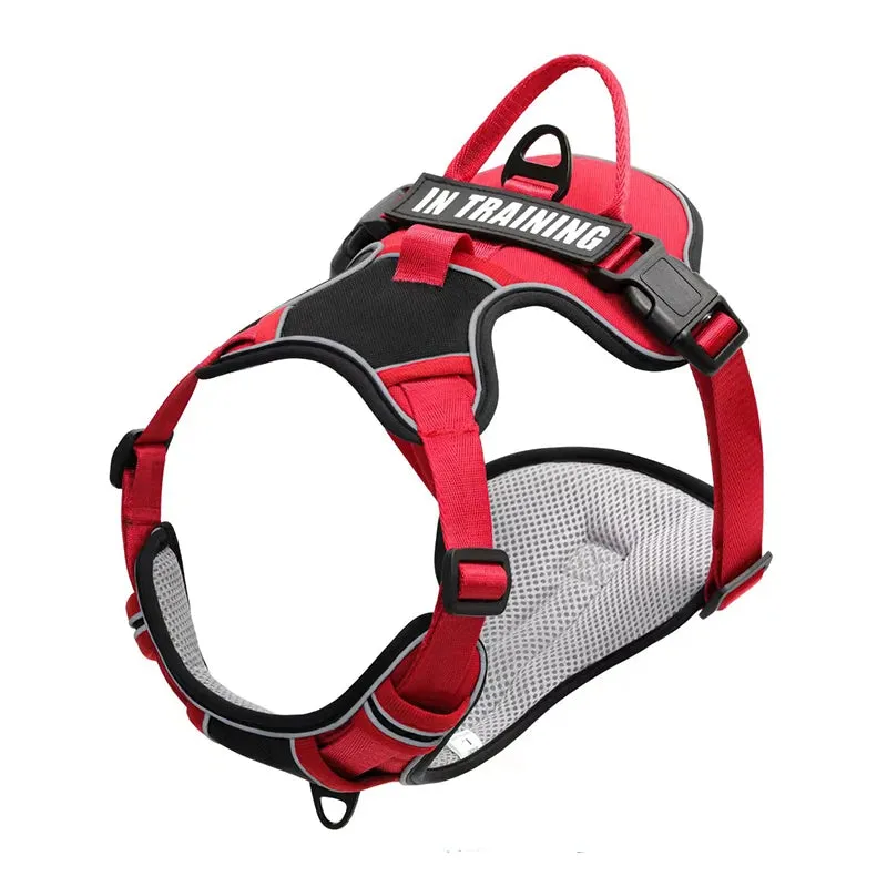 Personalized Reflective Dog Harness