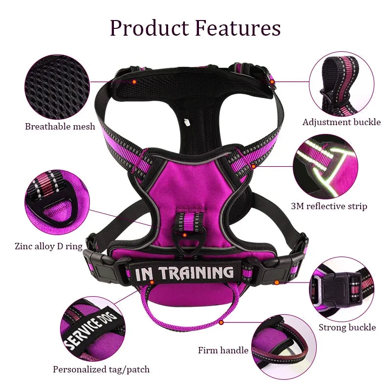 Personalized Reflective Dog Harness