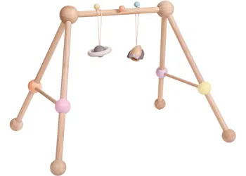 Plan Toys Play Gym
